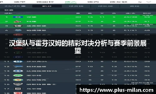 汉堡队与霍芬汉姆的精彩对决分析与赛季前景展望